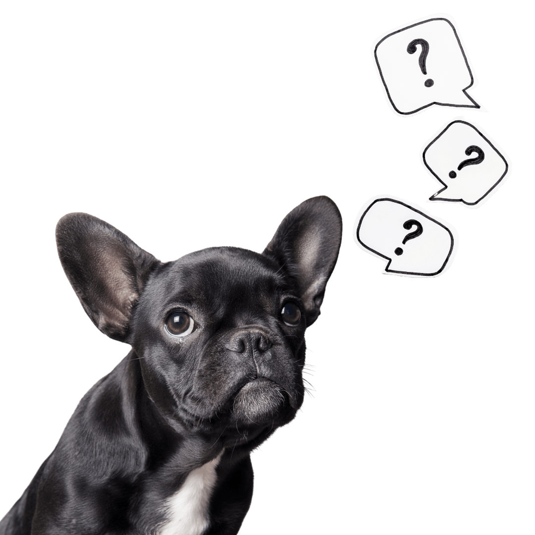 Faqs grady square tampa apartments